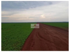 Fazenda com 32000 hectares, com 11000 hectares em lavoura