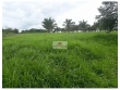 Fazenda com 50.000 hectares, dupla aptidão, própri