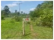 Fazenda com 1200 hectares, dupla aptidão, plana, a