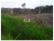 Fazenda com 2000 hectares, com sede, 800 hectares