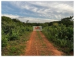 Fazenda com 535 hectares. com casa sede com 2 quar