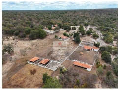 Fazenda com 5000 hectares, na região de Castelo do Piaui, dupla aptidão, própria para pecuária