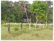 Fazenda na região de itupiranga-PA, com 9.680 hect