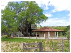 Fazenda na região de Buriti dos Montes, com 1625 hectares, cercada, com casa sede