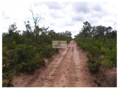 Fazenda com 11.000 hectares, terra bruta, dupla aptidão, na margem do rio Parnaíba