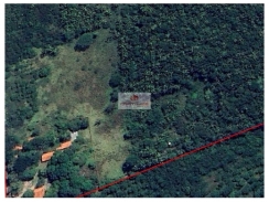 Terreno rural com 42 hectares, com casa sede, casa de morador, poço tubular