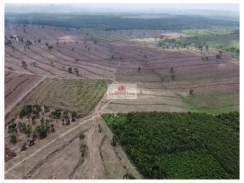 Fazenda na reguião de Parnarama, com 3600 hectares, com 1100 hectares em pasto (hoje, suporta 1500 bois)