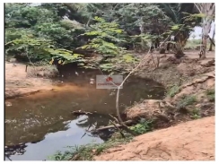 Sítio com 6 hectares, com riacho perene, energia elétrica, excelente solo