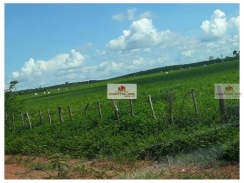 Fazenda na região de Caxias, com 396 hectares