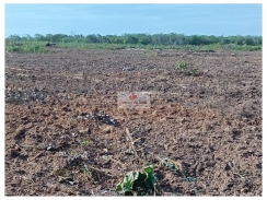  Fazenda na regiãpoa de Murici dos Portelas-PI, com 3000 hectares,com 250 hectares abertos
