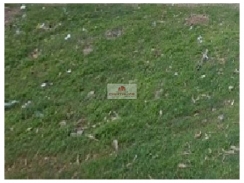 Terreno (10x30), vários lotes de 300m2, na Av Kennedy, região do Aldebaran